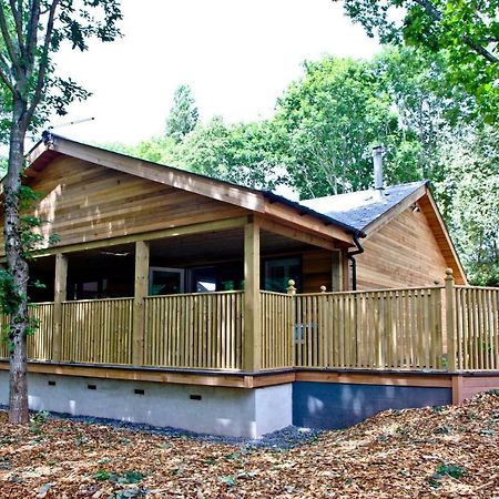 Cedar Lodge, South View Lodges, Exeter Zewnętrze zdjęcie