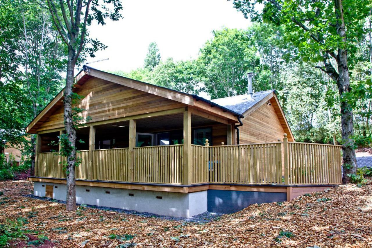 Cedar Lodge, South View Lodges, Exeter Zewnętrze zdjęcie