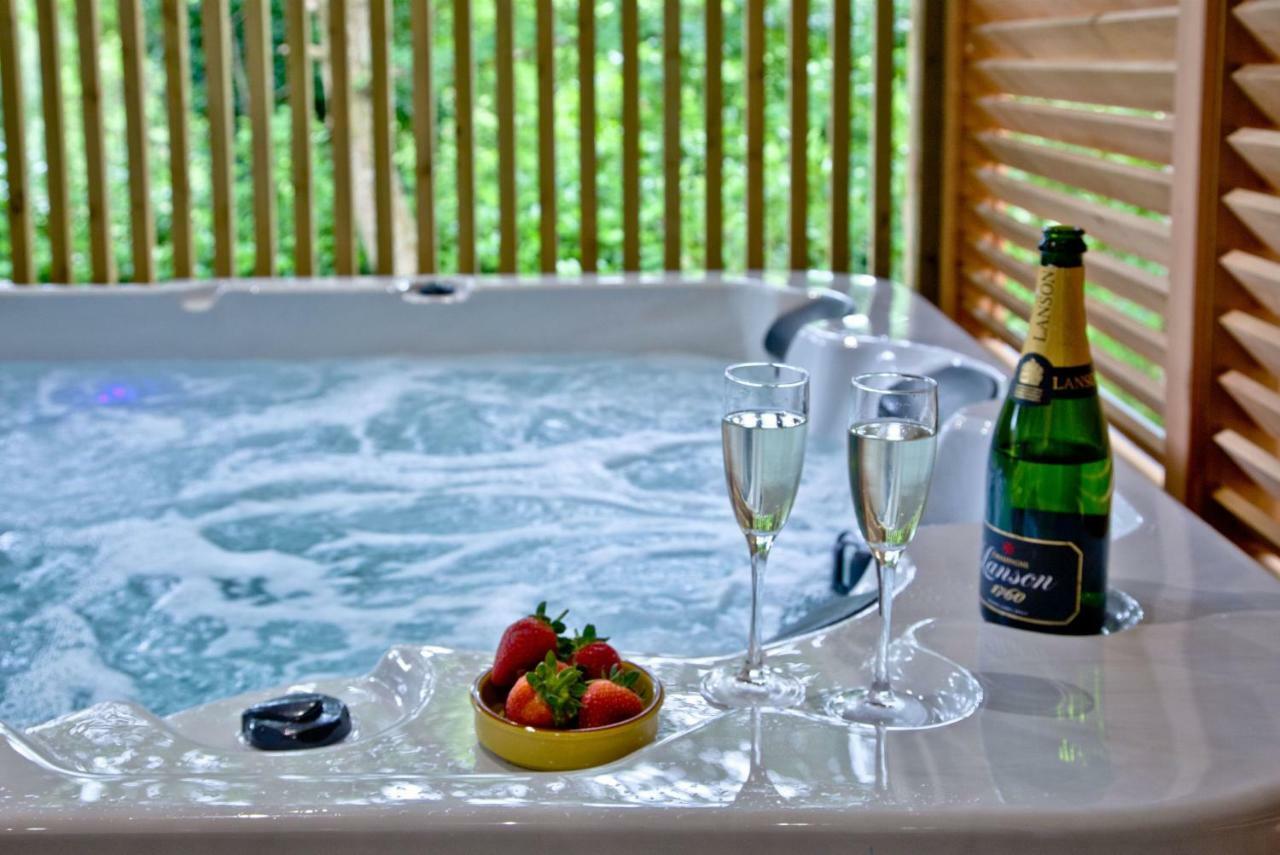 Cedar Lodge, South View Lodges, Exeter Zewnętrze zdjęcie